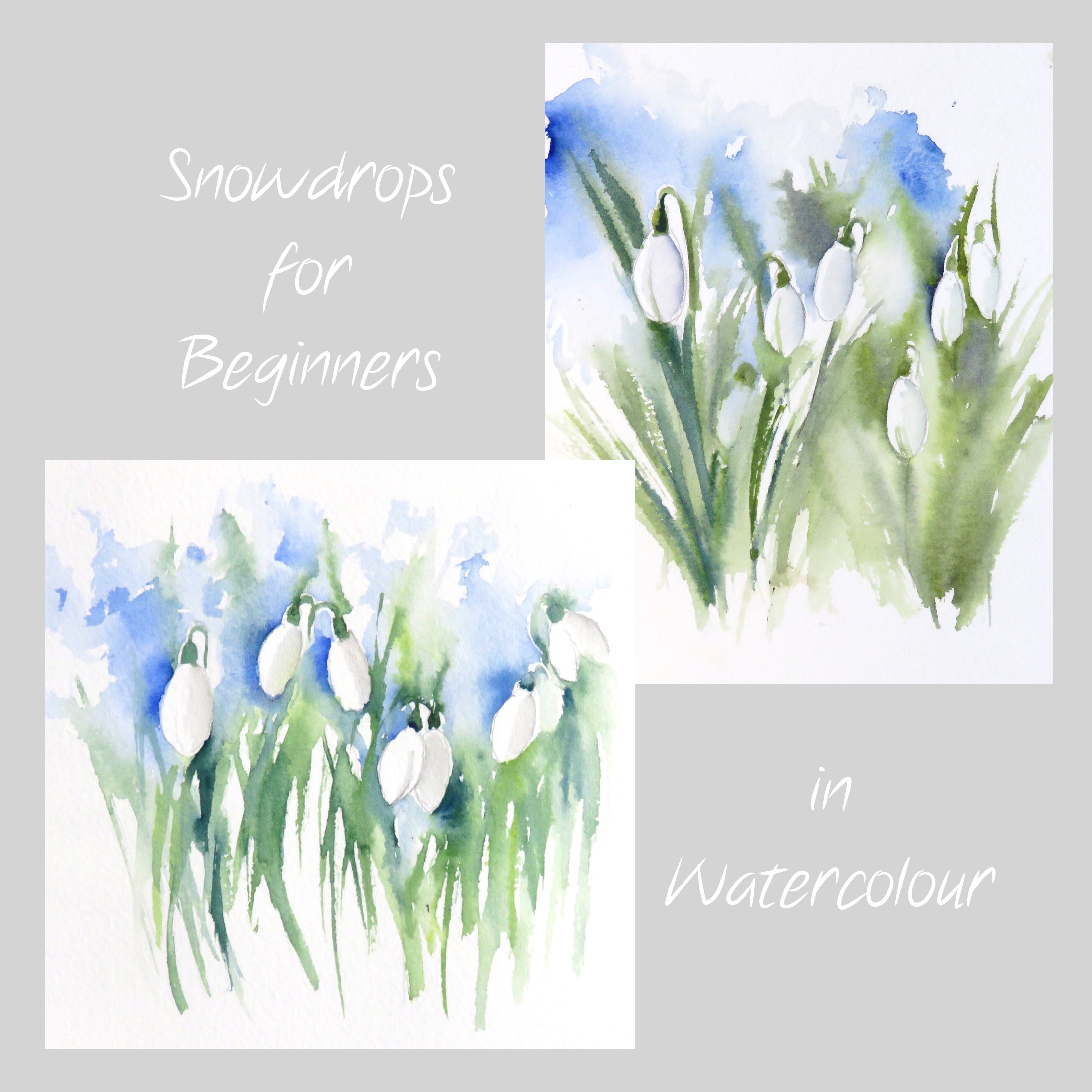 Snowdrops for Beginners – online tuition