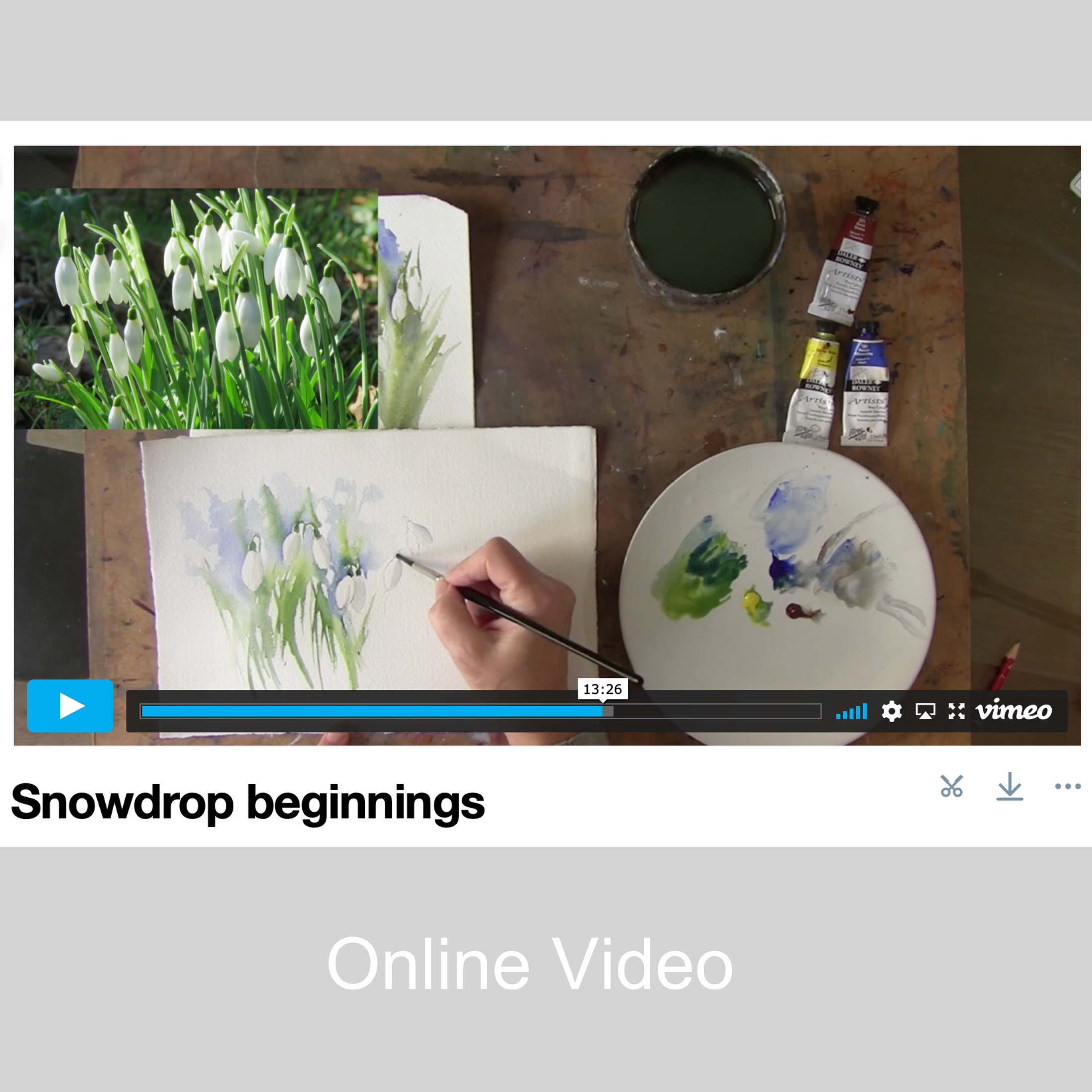 Snowdrops for Beginners – online tuition
