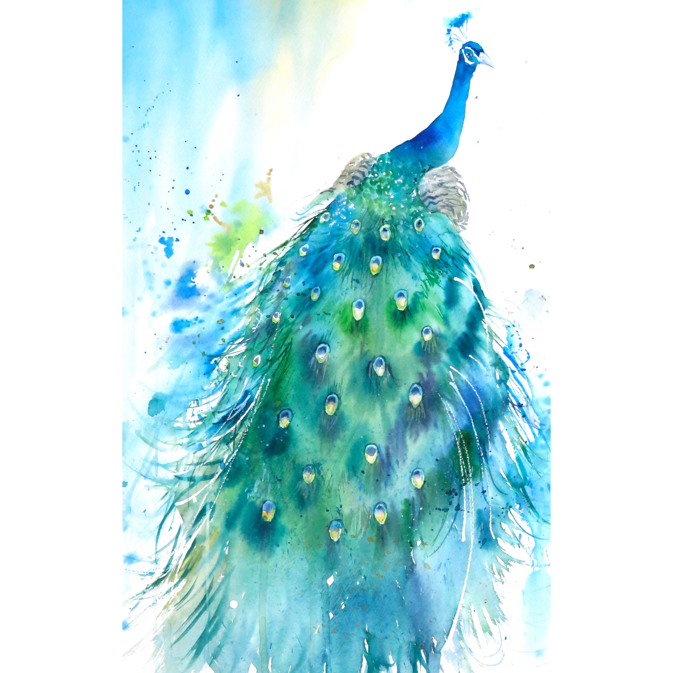 Peacock Presents