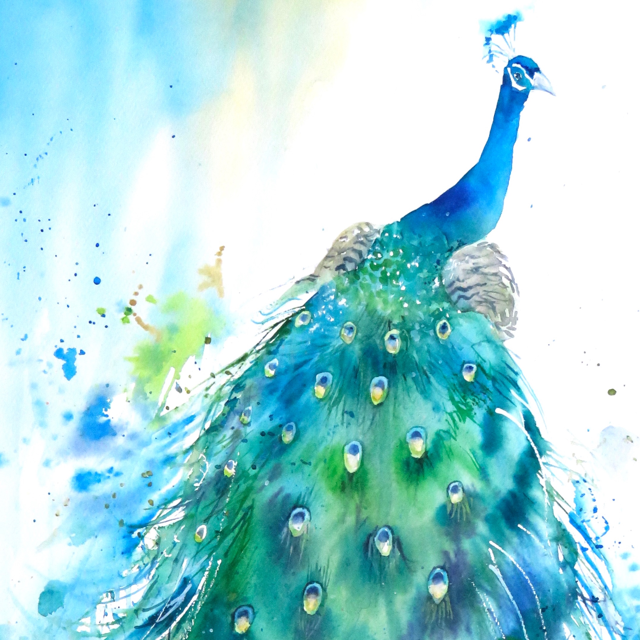 Peacock Presents