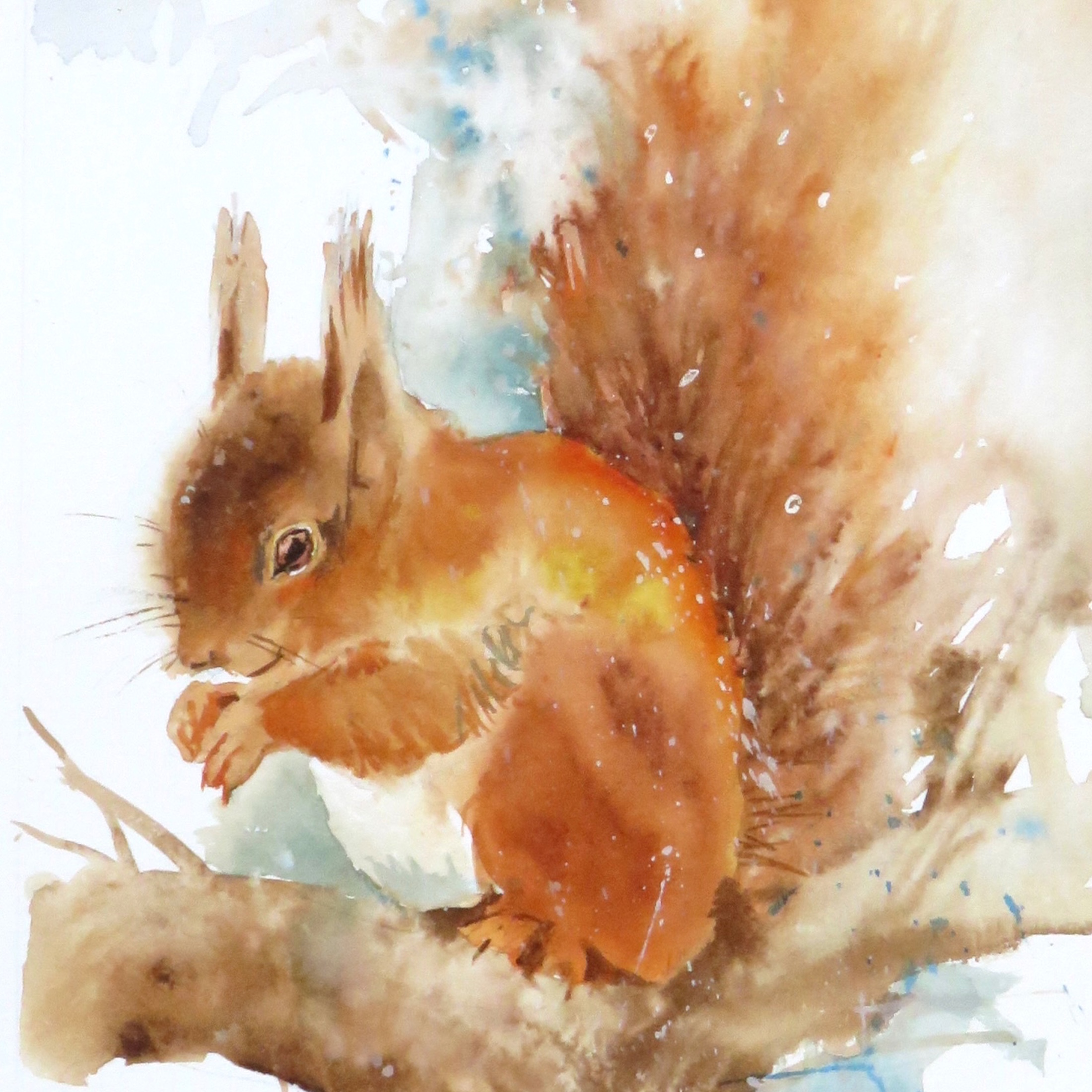 Red Squirrel Treat (Sold)