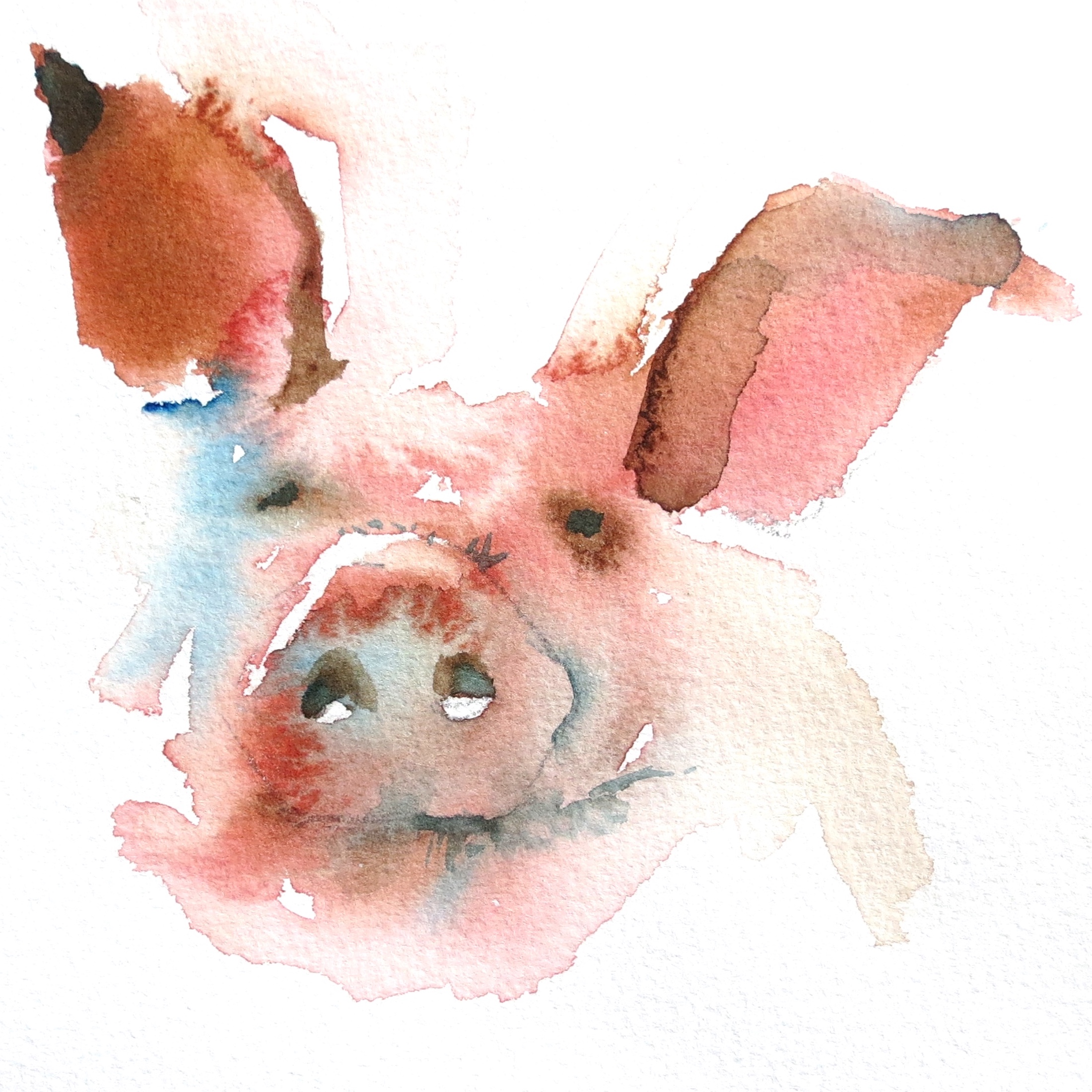 Piggy Love – card