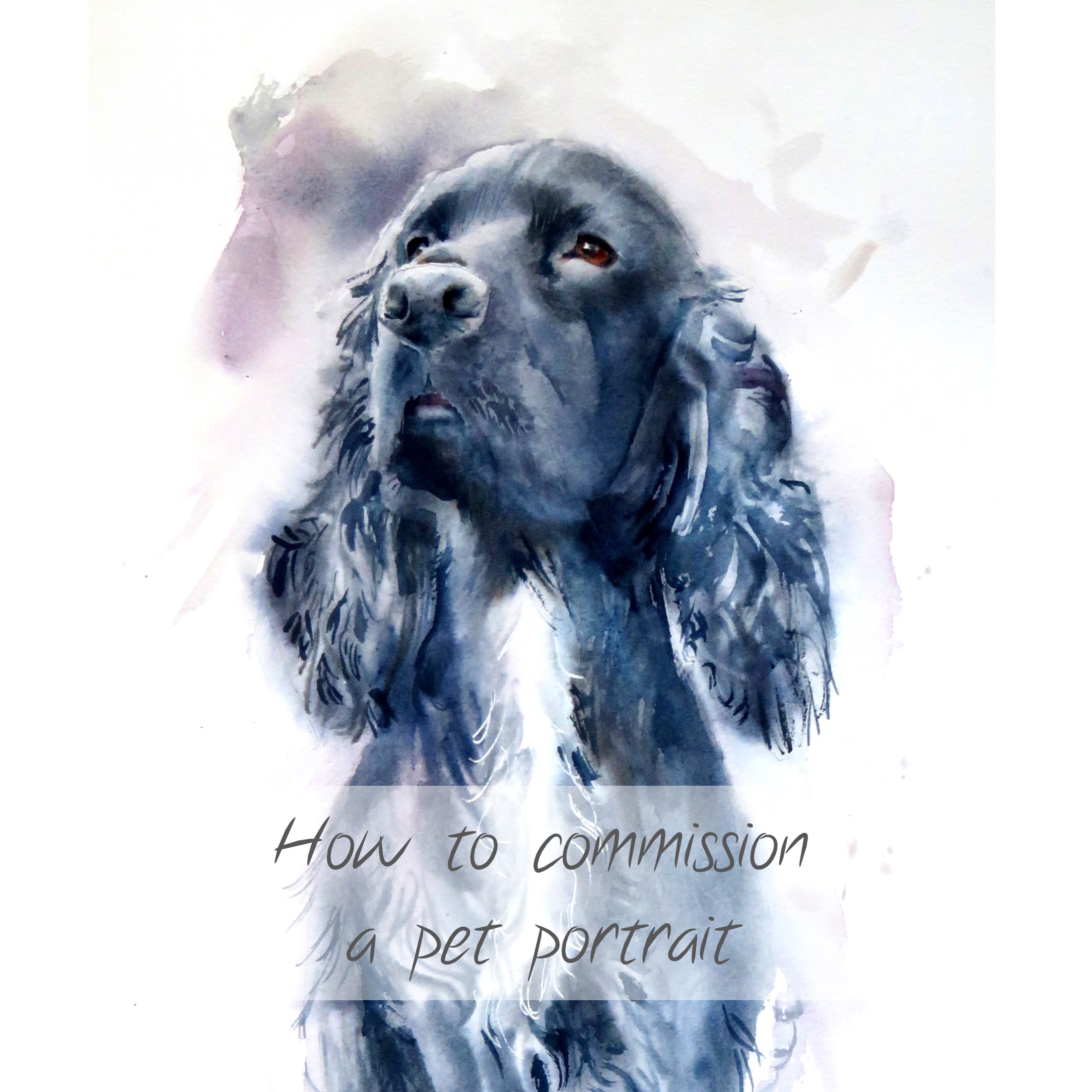 How to commission a pet portrait
