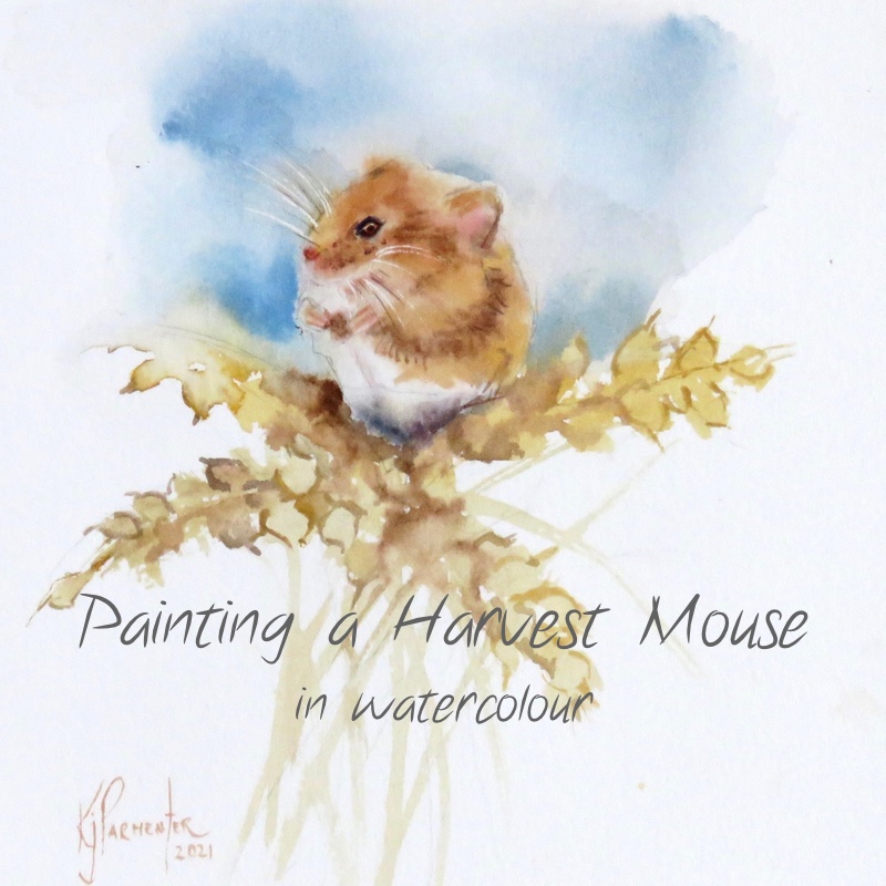Harvest Mouse – online tuition