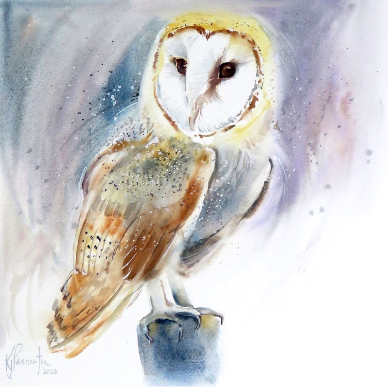 Barn Owl Beauty (Reserved)