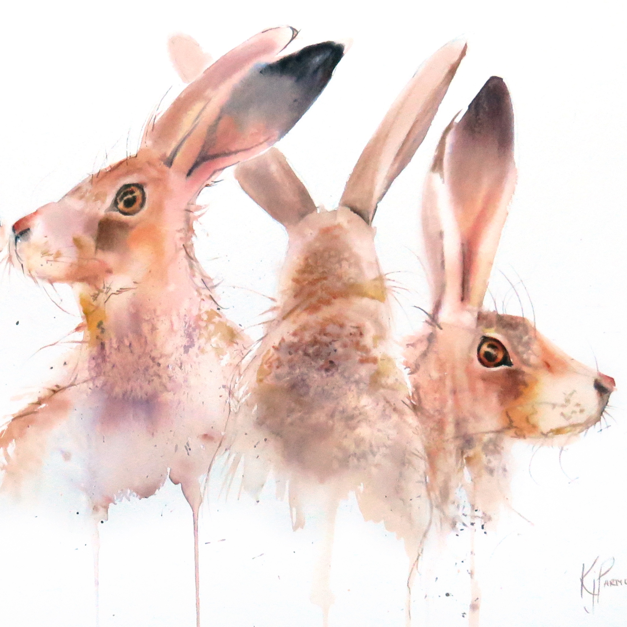 Hare Bunch