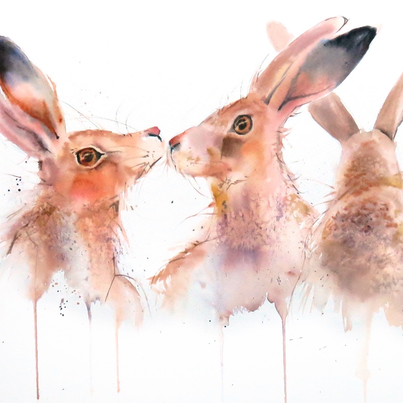 Hare Bunch
