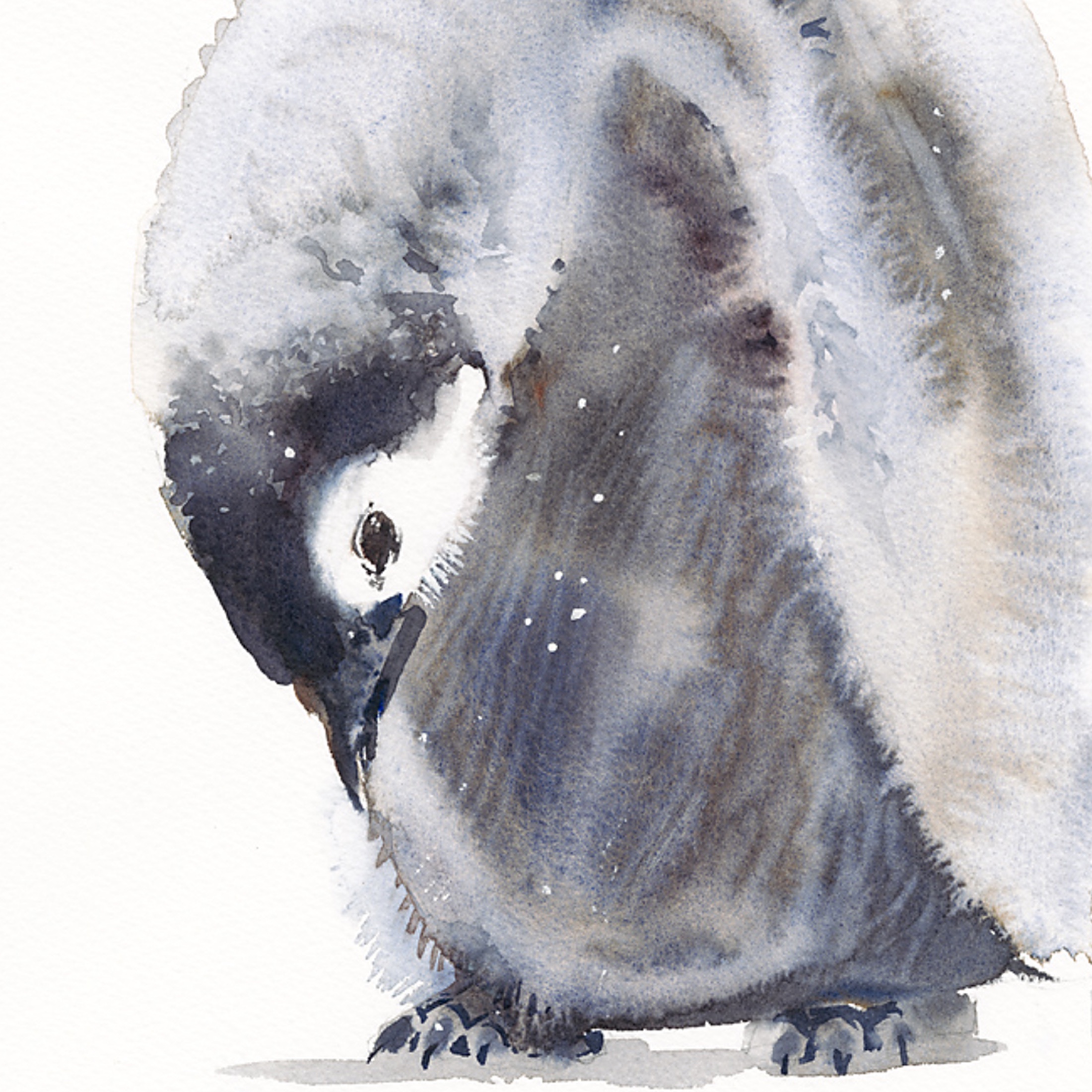 Nestling (Penguin) Card